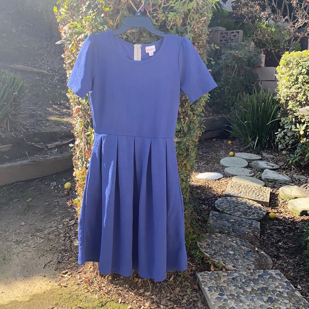 EUC LulaRoe Blue Amelia Size M